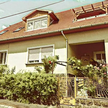 公寓 Fejedelem Vendeghaz *