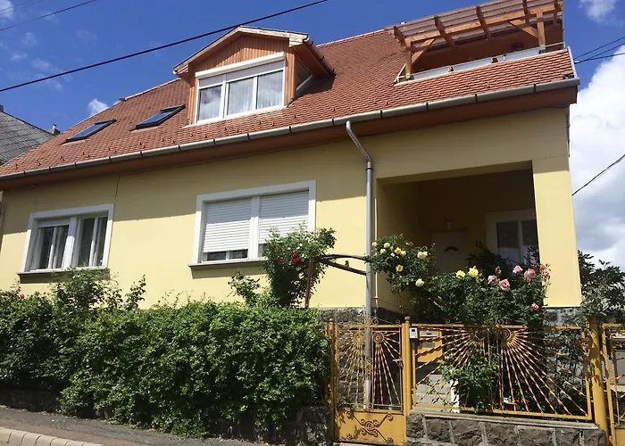 Apartamento Fejedelem *